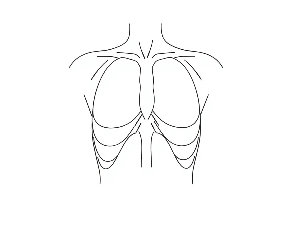 Schematic anatomical diagram for breast augmentation — reference illustration explaining how the surgical procedure works. Not a depiction of any patient.