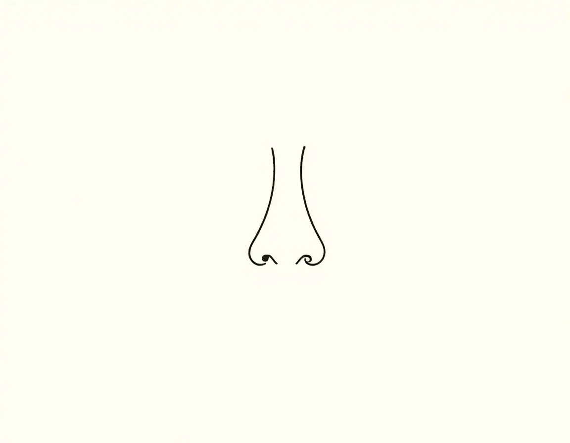 Schematic anatomical diagram for rhinoplasty — reference illustration explaining how the surgical procedure works. Not a depiction of any patient.
